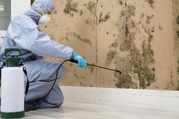 Service Background Service Background